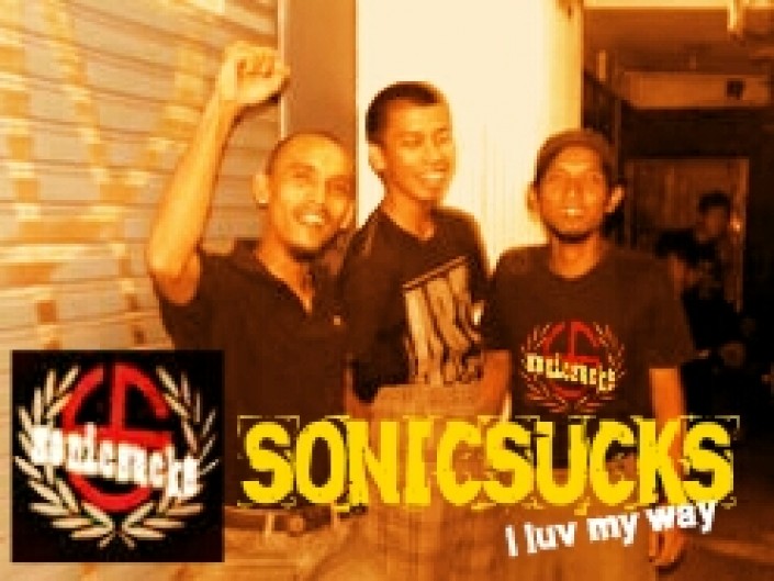 Sonicsucks