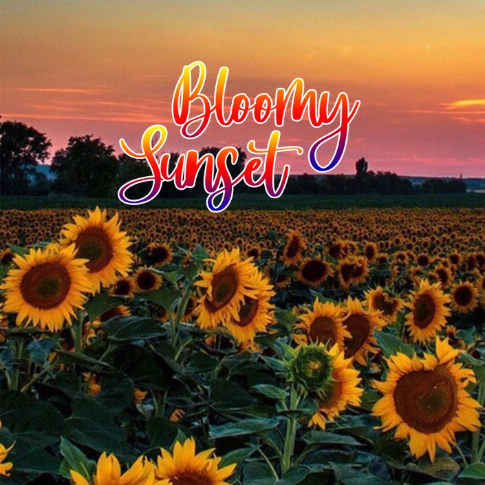Bloomy Sunset