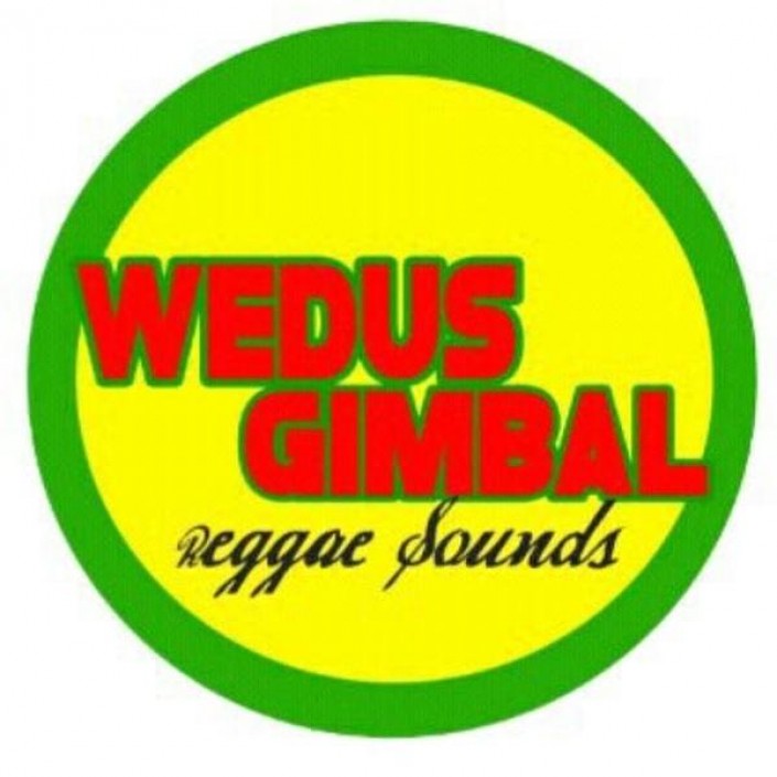 WEDUS GIMBAL Photo