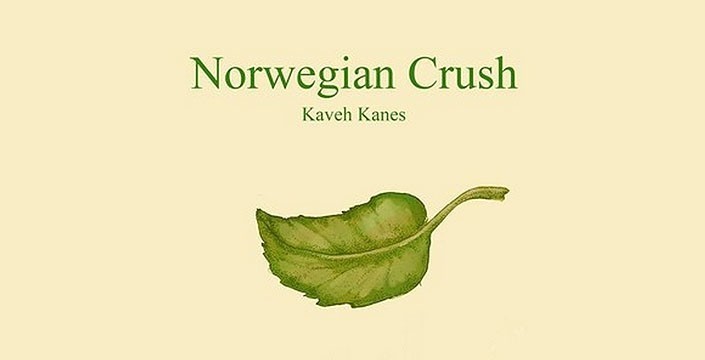 Gencarkan Album, Kaveh Kanes Kenalkan Norwegian Crush
