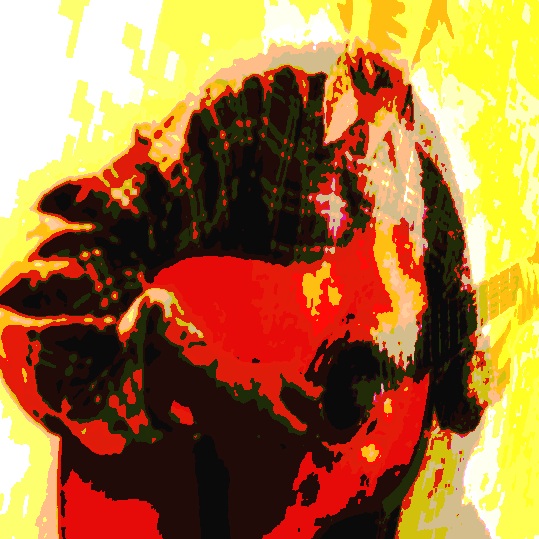 Akarbumi